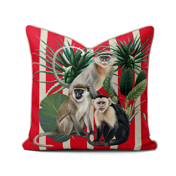 -----Online scatter 72 Scatter Cushion - Africa Red Monkeys - Image 1